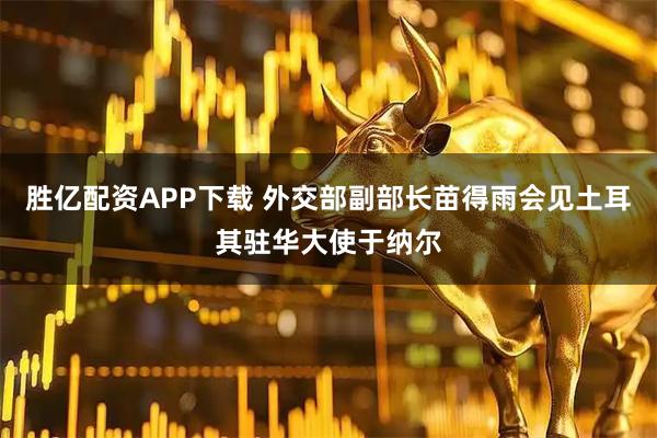胜亿配资APP下载 外交部副部长苗得雨会见土耳其驻华大使于纳尔