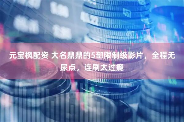 元宝枫配资 大名鼎鼎的5部限制级影片，全程无尿点，连刷太过瘾