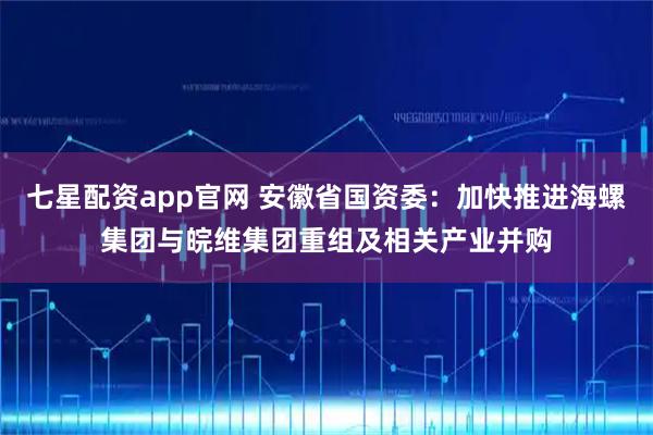 七星配资app官网 安徽省国资委：加快推进海螺集团与皖维集团重组及相关产业并购